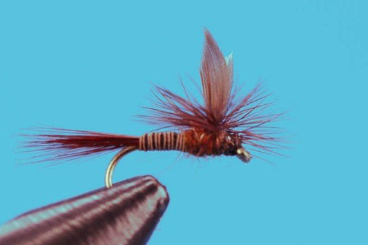 Parachute Red Quill - Hazy Fly Fishing