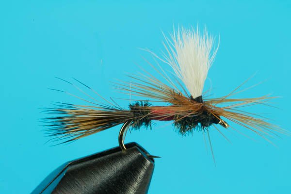 Parachute Royal Wulff - Hazy Fly Fishing