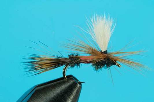 Parachute Royal Wulff - Hazy Fly Fishing