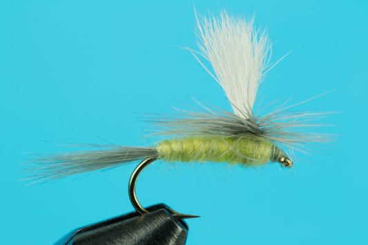Parachute Sulphur - Hazy Fly Fishing