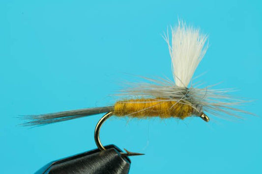 Parachute Sulphur - Hazy Fly Fishing