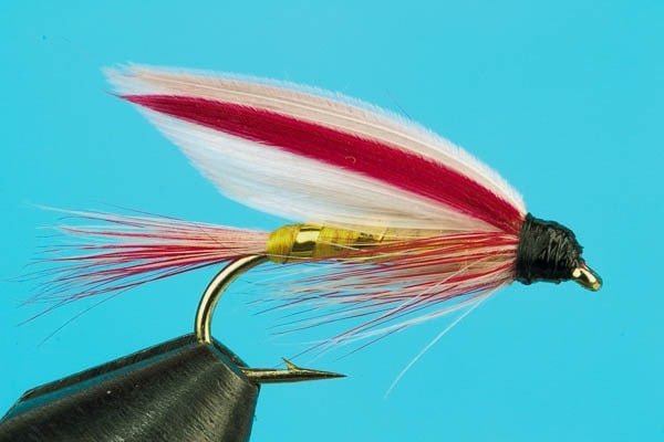 Parmachene Belle - Hazy Fly Fishing