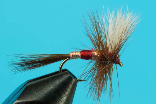 Patriot Dry Fly - Hazy Fly Fishing