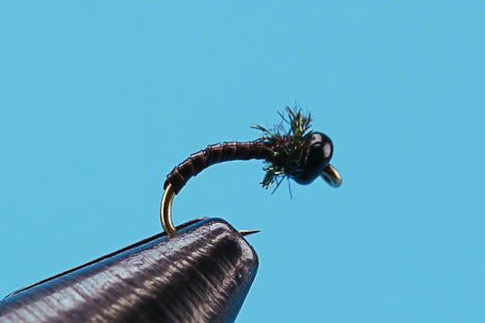 Peacock Emerging Nymph - Beadhead - Hazy Fly Fishing