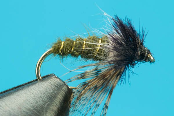 Peeking Caddis - Hazy Fly Fishing