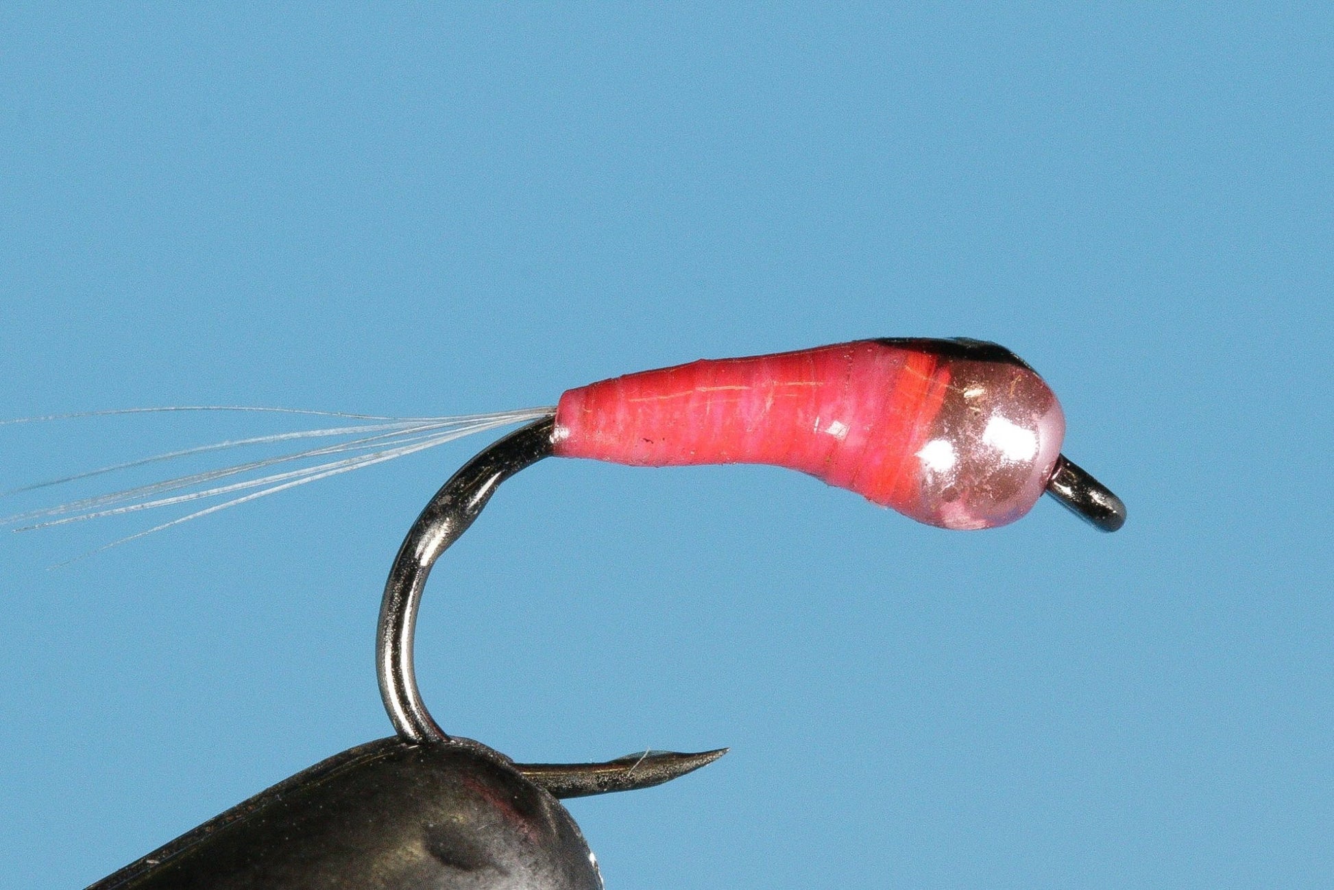 Perdigon Nymph - Tungsten (Barbless) - Hazy Fly Fishing