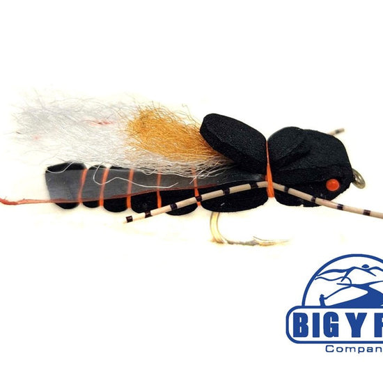 Perfect Cicada - Hazy Fly Fishing