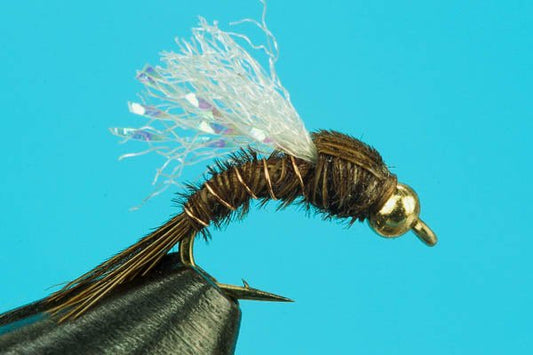 Pheasant Tail Emerger - Beadhead - Hazy Fly Fishing