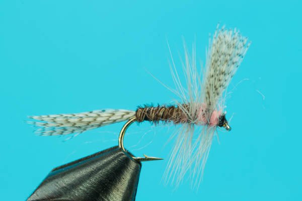 Pink Albert - Hazy Fly Fishing
