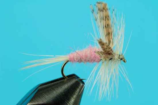 Pink Cahill - Hazy Fly Fishing