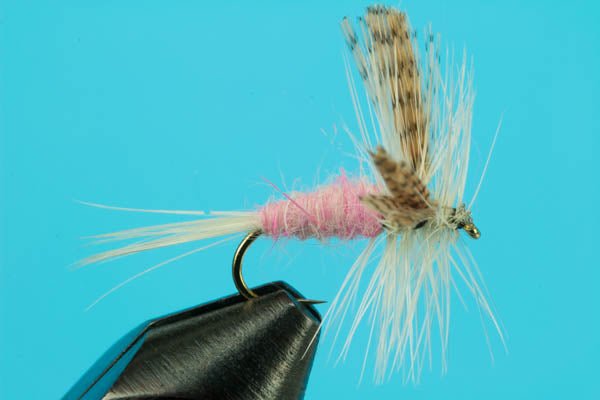 Pink Cahill - Hazy Fly Fishing