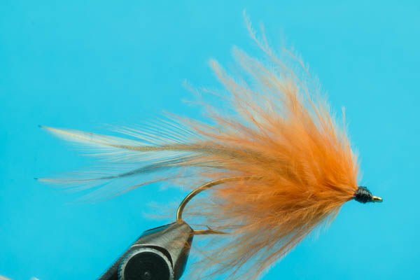 Platte River Spider - Hazy Fly Fishing