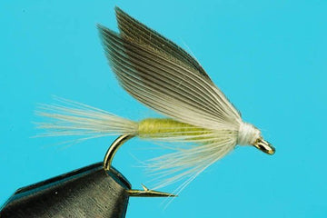 PMD Wet Fly - Hazy Fly Fishing