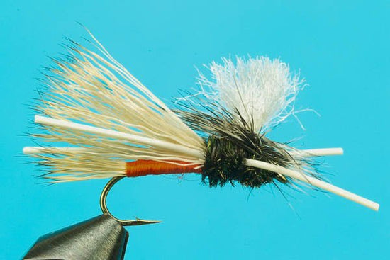 PMX - Hazy Fly Fishing