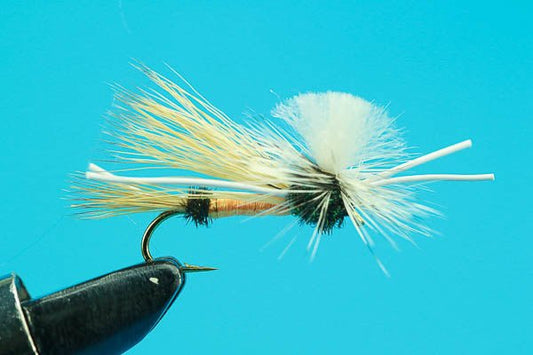 PMX Royal - Hazy Fly Fishing