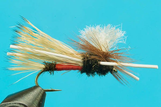 PMX Royal - Hazy Fly Fishing