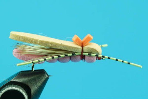 Pokey - Hazy Fly Fishing
