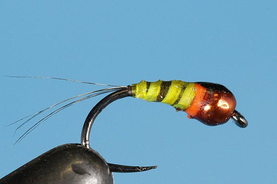 Polish Poundcake - Tungsten (Barbless) - Hazy Fly Fishing
