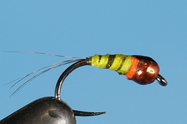 Polish Poundcake - Tungsten (Barbless) - Hazy Fly Fishing