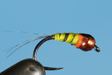 Polish Poundcake - Tungsten (Barbless) - Hazy Fly Fishing