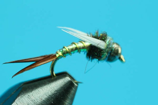Poly Prince - Beadhead - Hazy Fly Fishing