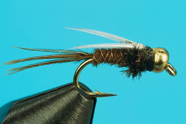 Prince Pheasant Tail - Beadhead - Hazy Fly Fishing
