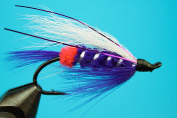 Purple Angel - Hazy Fly Fishing