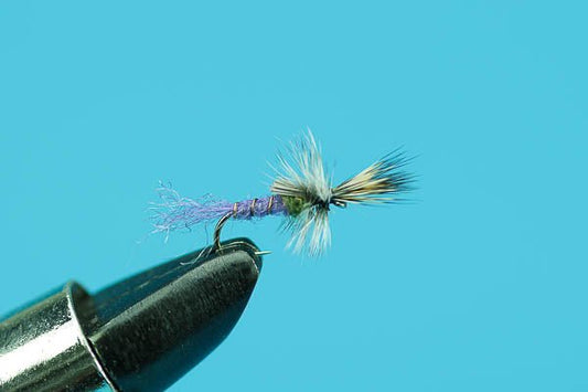 Purple Haze Cripple - Hazy Fly Fishing