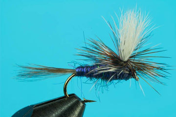 Purple Haze Sparkle Body - Hazy Fly Fishing