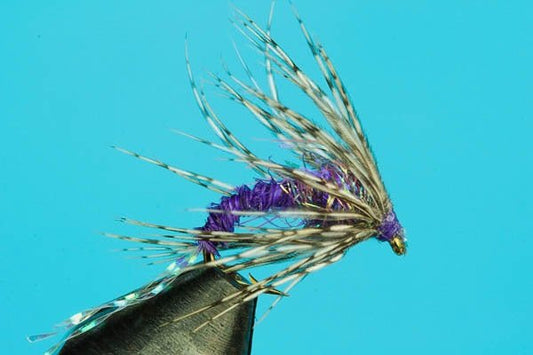 Purple Haze Wet Fly - Hazy Fly Fishing