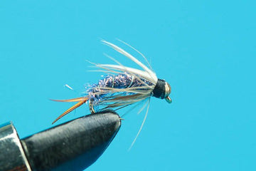 Purple Prince - Beadhead - Hazy Fly Fishing