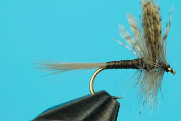 Quill Gordon - Hazy Fly Fishing