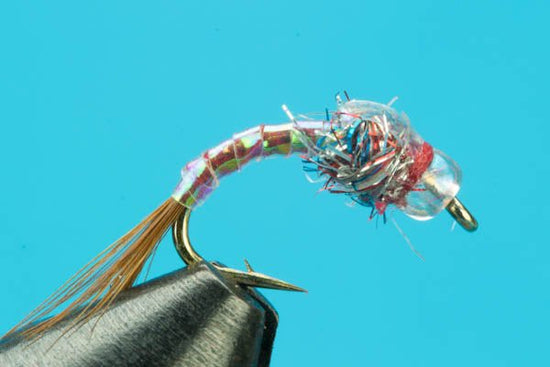 Rainbow Warrior - Beadhead - Hazy Fly Fishing