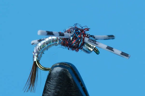 Rainbow Warrior Rubber Legs - Beadhead - Hazy Fly Fishing