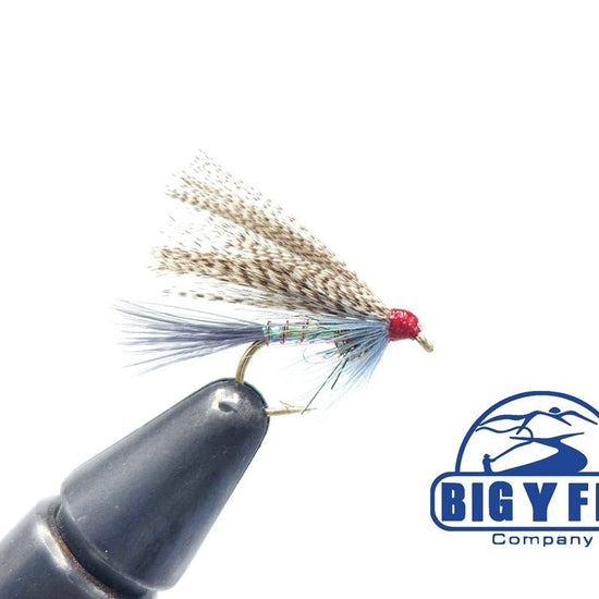 Rainbow Warrior Wet Fly - Hazy Fly Fishing
