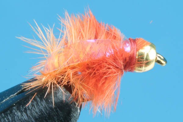 Ray Charles - Beadhead - Hazy Fly Fishing