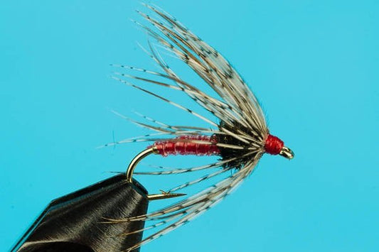 Red Ass - Hazy Fly Fishing
