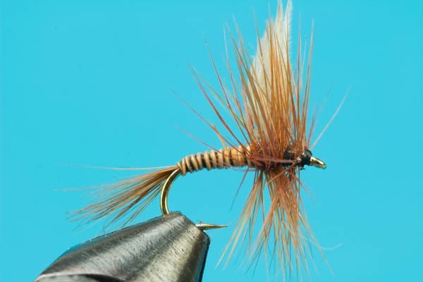 Red Quill - Hazy Fly Fishing