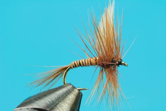 Red Quill - Hazy Fly Fishing