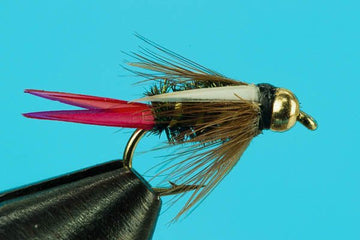 Red - Tail Prince - Beadhead - Hazy Fly Fishing