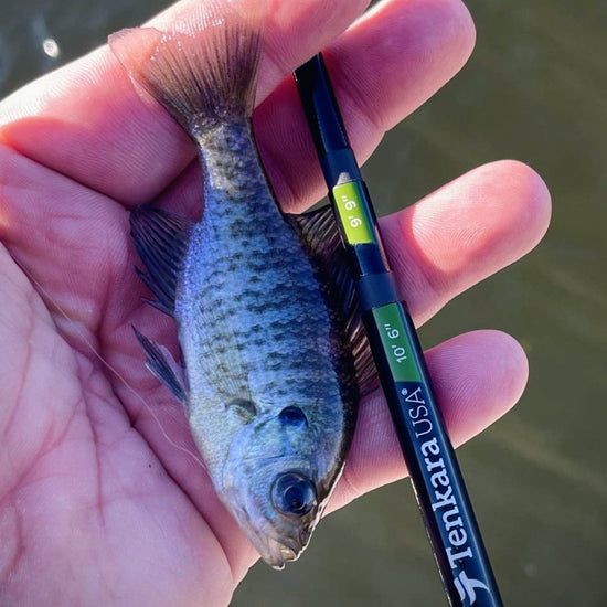 RHODO™ 8'10"/9'9"/10'6" (adjustable) - Hazy Fly Fishing