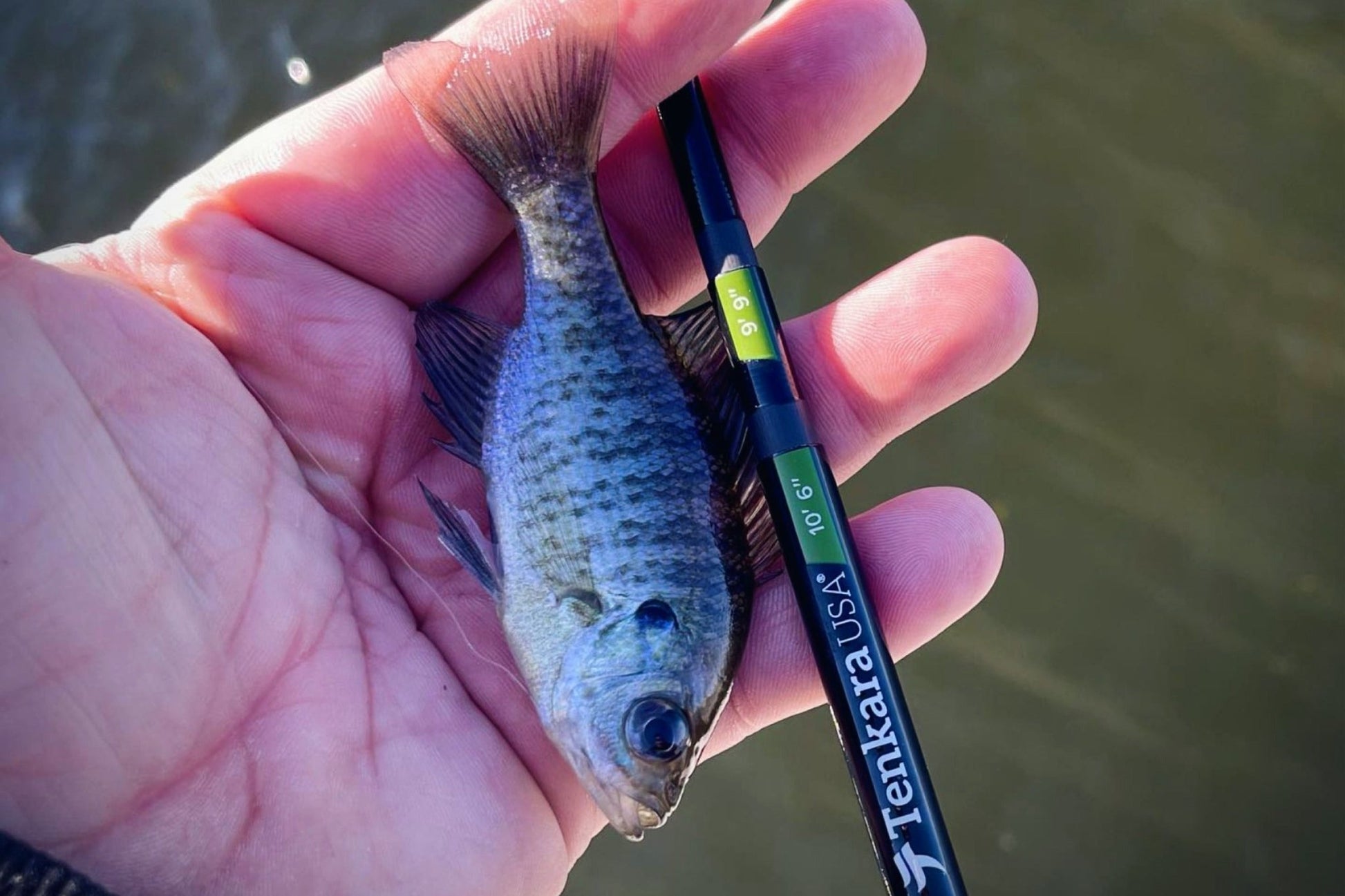 RHODO™ 8'10"/9'9"/10'6" (adjustable) - Hazy Fly Fishing