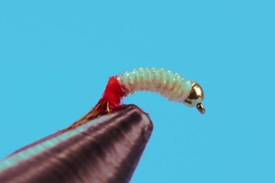 Rin Midge - Beadhead - Hazy Fly Fishing