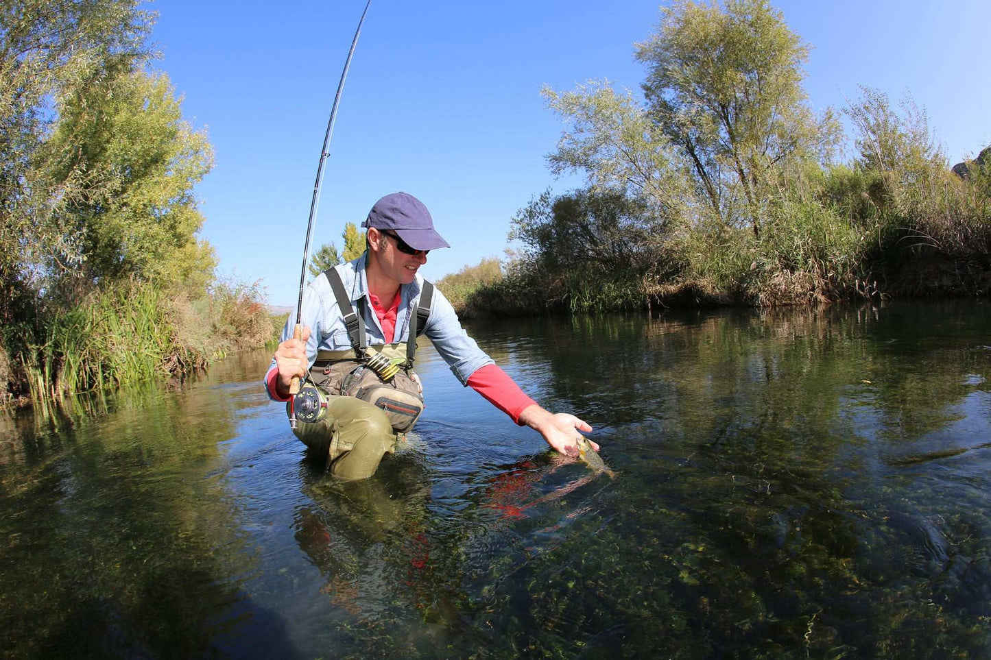 RIO Mainstream Trout Weight Forward Fly Line - Hazy Fly Fishing