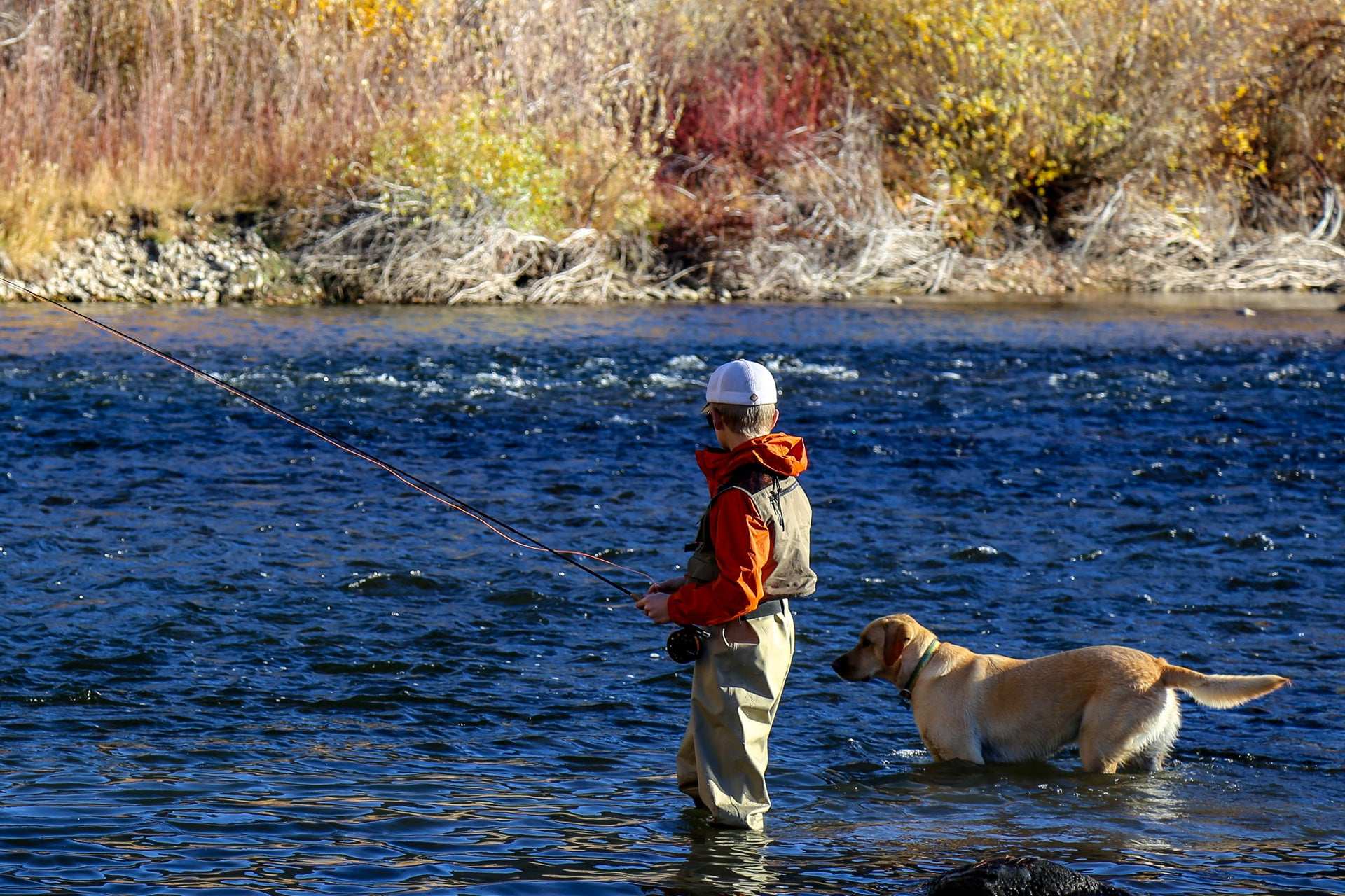 RIO Mainstream Trout Weight Forward Fly Line - Hazy Fly Fishing