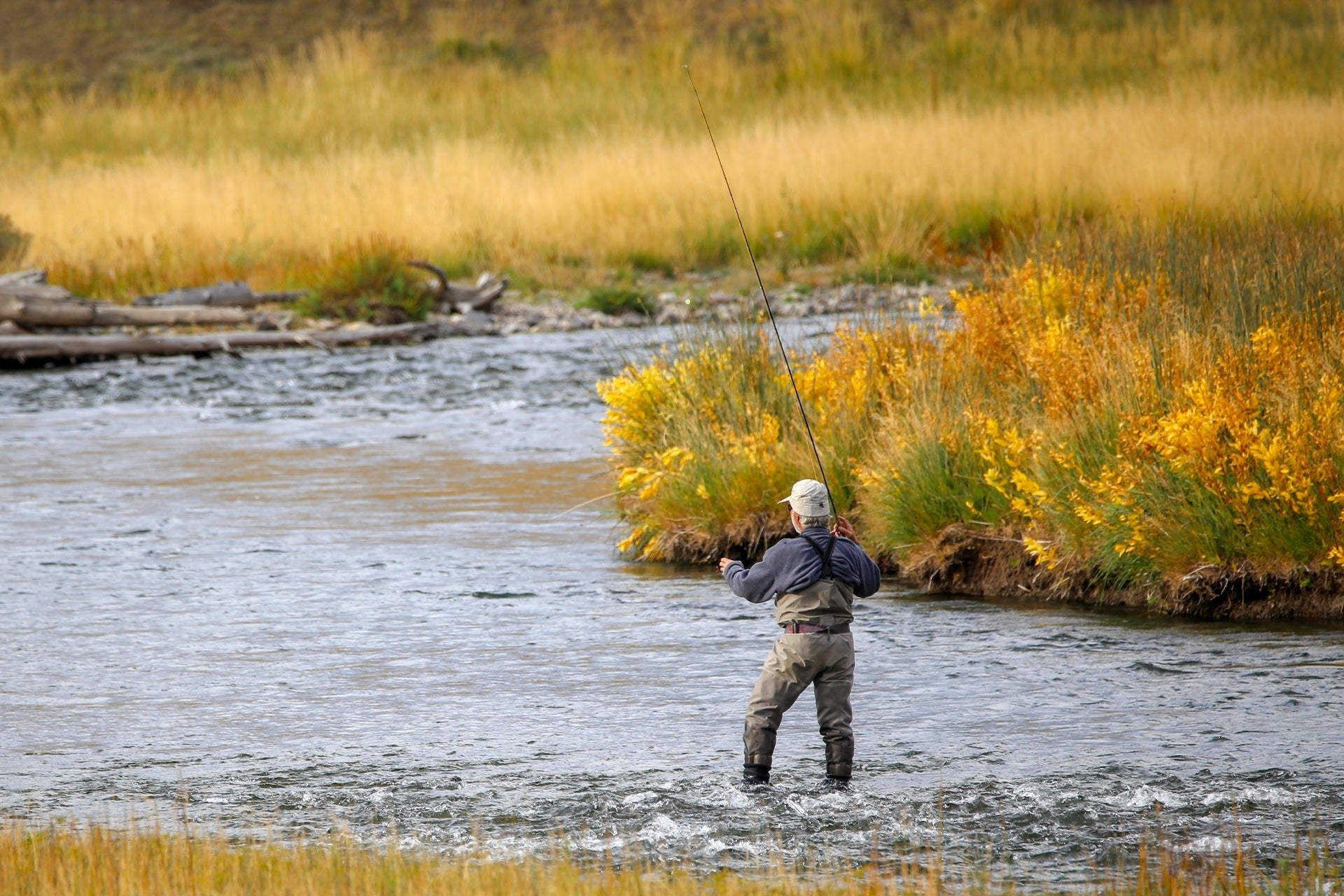 RIO PowerFlex Plus Strong Tippet - 50 Yard Spools - Hazy Fly Fishing