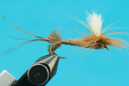 Roberts Drake - Hazy Fly Fishing