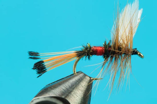 Royal Coachman - Hazy Fly Fishing