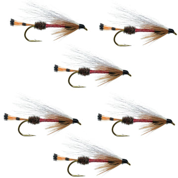 Royal Coachman Bucktail Classic Streamer Flies - Set of 6 - Hook Size 4 - Hazy Fly Fishing