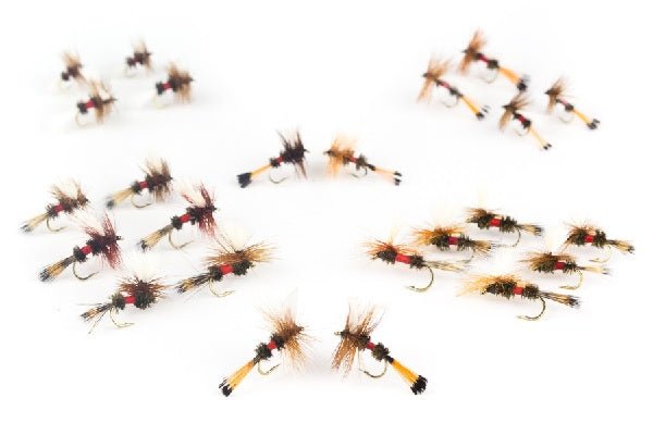 Royal Family Assortment - 24 flies 40 - Hazy Fly Fishing